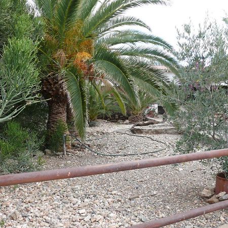 Rooiklip Camp Flintstone Daire Dış mekan fotoğraf